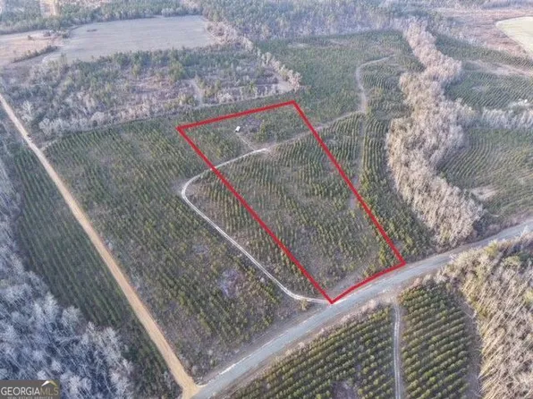 3 Powell School Rd, Lumber City, GA 31549