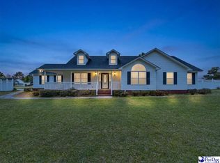 3188 Raccoon Rd, Manning, SC 29102