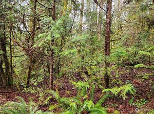 800 Mountain Trl, Brinnon, WA 98320