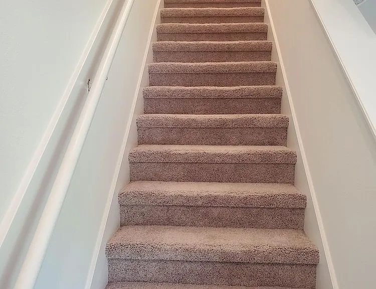 247 Mustard Hill Ct — Photo 6