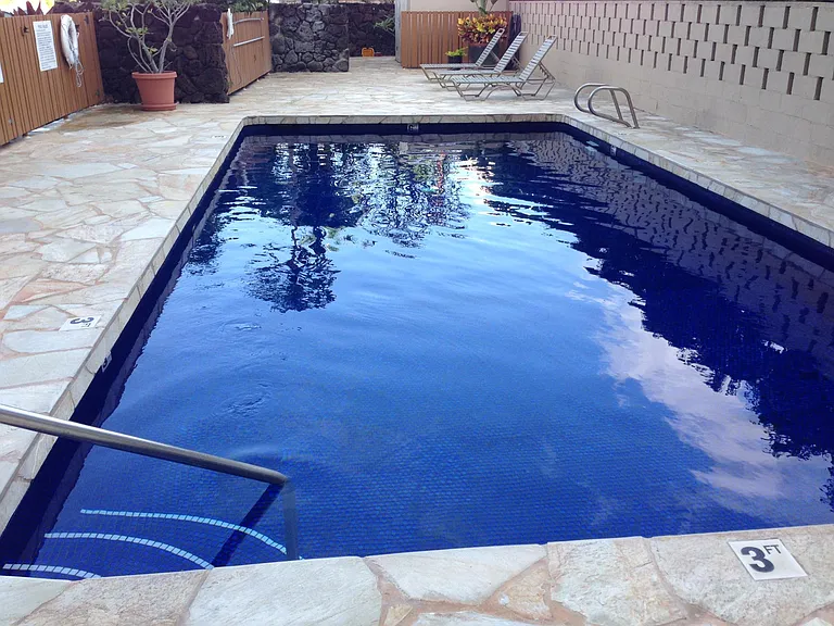1550 Wilder Ave #1 — Photo 13