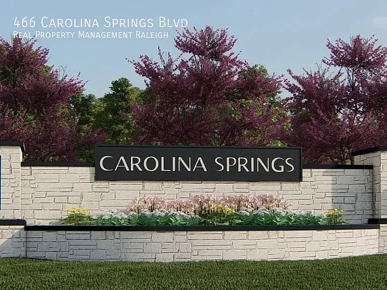 466 Carolina Springs Blvd — Photo 3