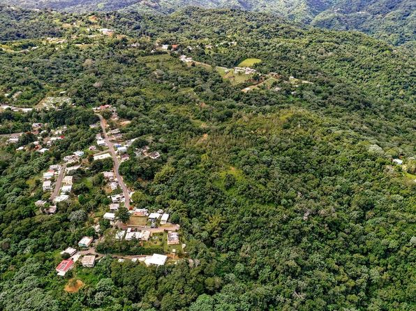 Road 140 Km #38, Florida, PR 00650