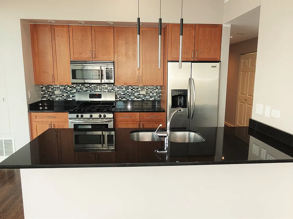 1620 S Michigan Ave #1105