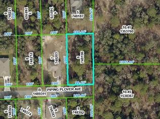 Piping Plover Ave LOT 6, Brooksville, FL 34614