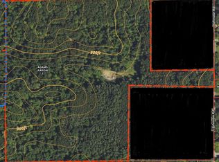 11376 Johnson Rd, Greenville, MI 48838