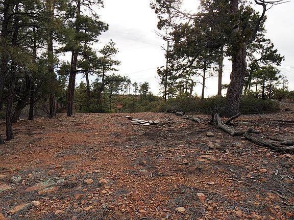 3rd image of 6292 Fawn Ln