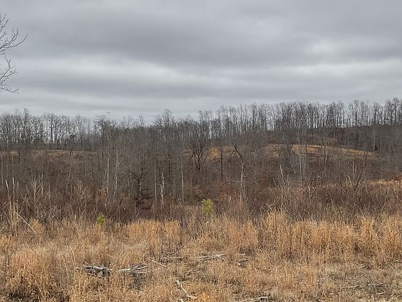 3rd image of 0 Saddleback Dr Lot 9