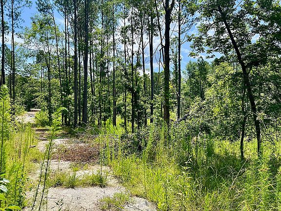 2nd cleared homesite