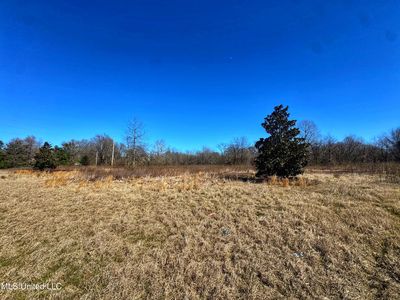 0 New Africa Rd, Clarksdale, MS, 38614