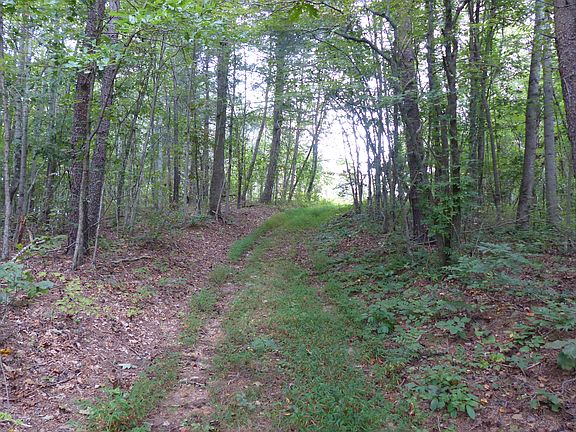 Road to old homesite