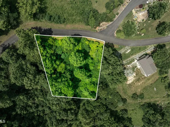 LOT 10 Ridge Run, Butler, TN 37640