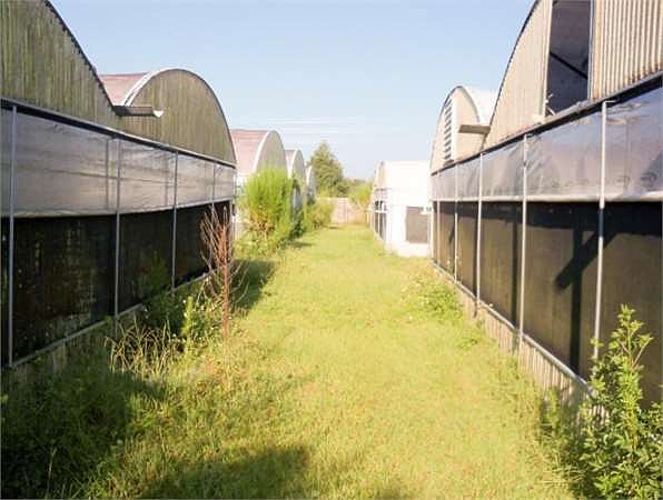 2nd image of 3385 State Road 546 E