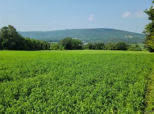 LOT 6 Tucker Rd LOT 6, New Woodstock, NY 13122