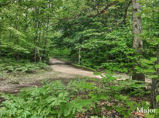 10935 E Lucas Trl, Chase, MI 49623