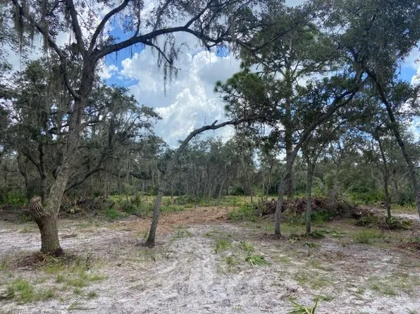 Garcia Ln, Frostproof, FL 33843