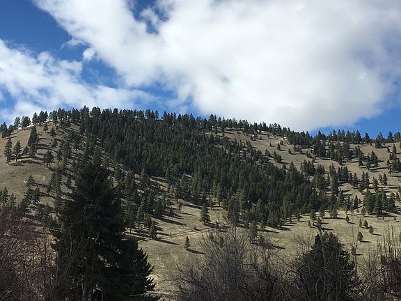 Mount Jumbo (front yard view