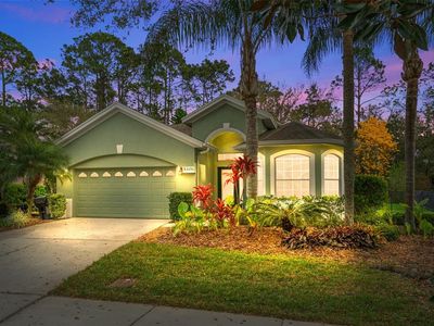 10290 Cypress Vine Dr, Orlando, FL, 32827