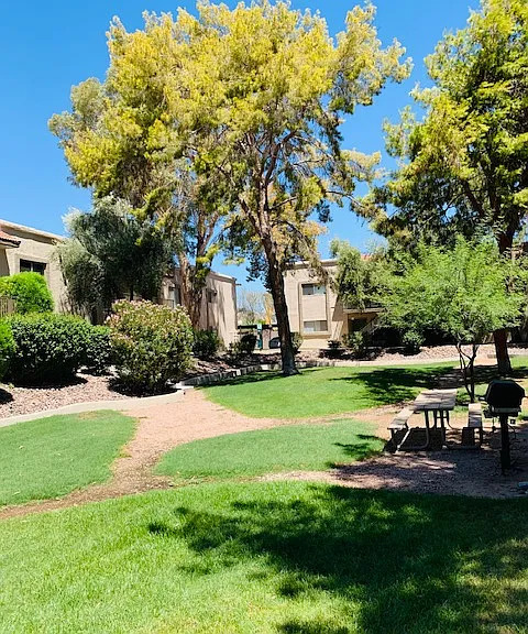 Desert Springs Apartments — Photo 5