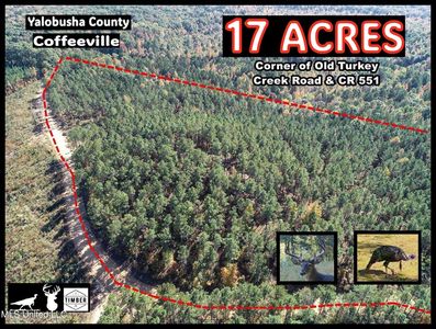 551 Country Rd, Coffeeville, MS, 38922