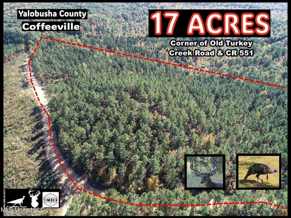 551 Country Rd, Coffeeville, MS 38922