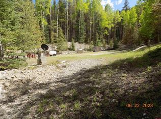 300 Lime Basin Ln, Pitkin, CO 81241