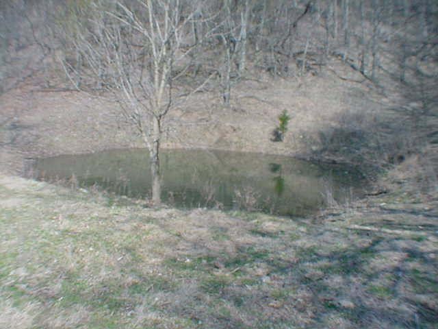 2nd image of 121 Hackett Hollow Ln