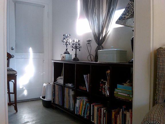Another large window; brings in a ton of light! (This view is of the wall opposite the kitchen stove, sink, and fridge).