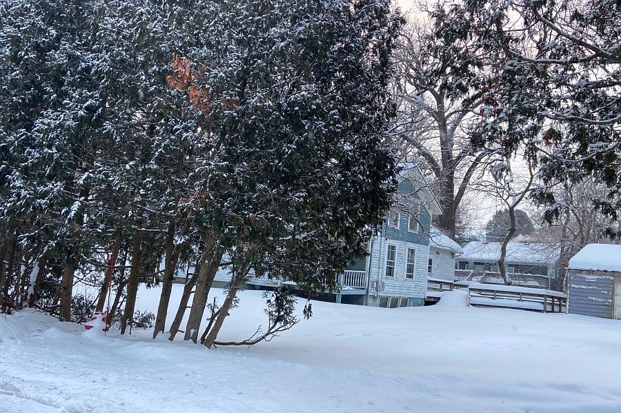 2nd image of 137 Ash St