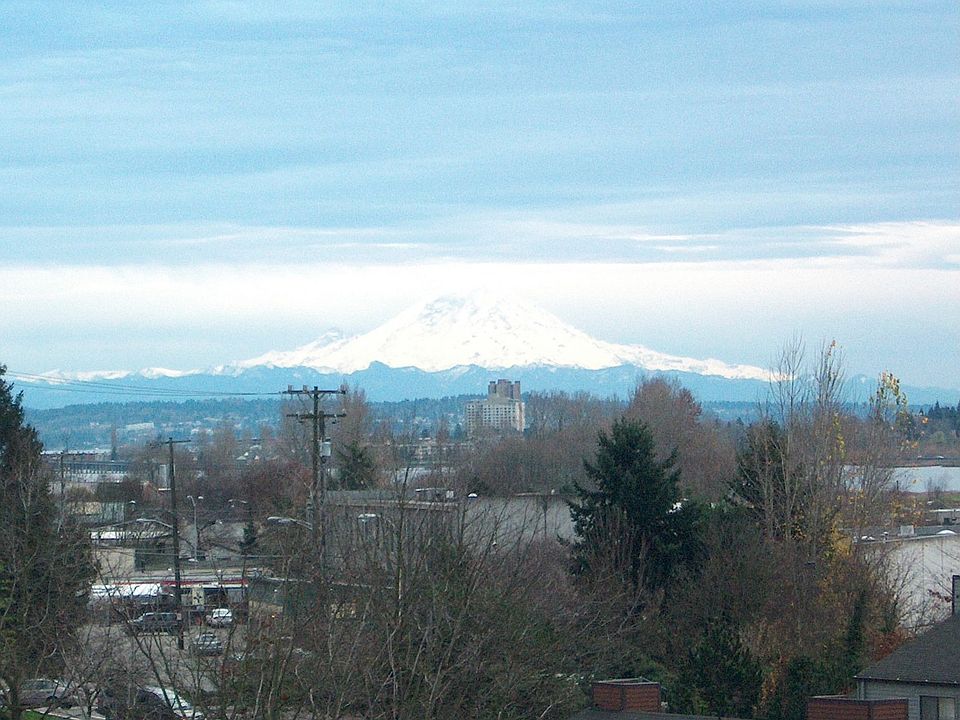 View of Mt. Rainier in Winter