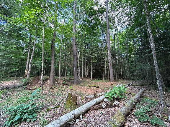 5th image of 1124 Little Hawk Lake Rd