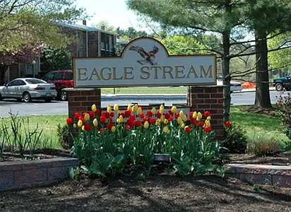Eagle Stream