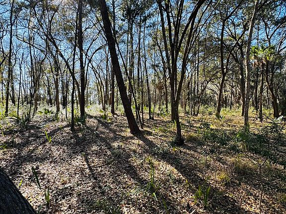 4th image of 0 Rosa Scott Rd