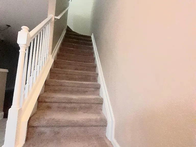 3568 Twisted Tree Ln — Photo 12