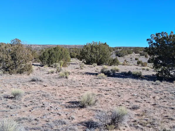 24 County Road 6578 857 N, Saint Johns, AZ 85936