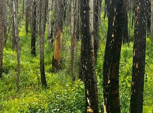 0 Old Ballard Logging Rd, Bellvue, CO 80512