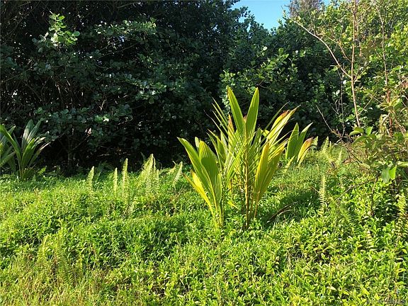 3rd image of Paradise Ala Kai Dr Lot 409