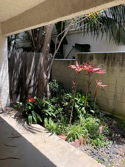 2 bed, 1100 sqft, $3,450 — Photo 2