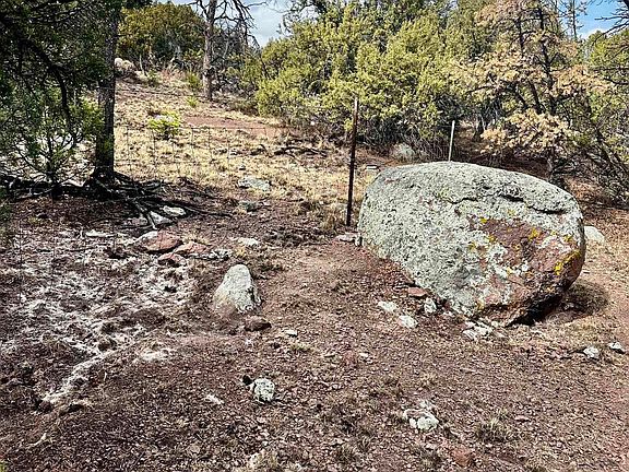 4th image of 9 Juniper Way