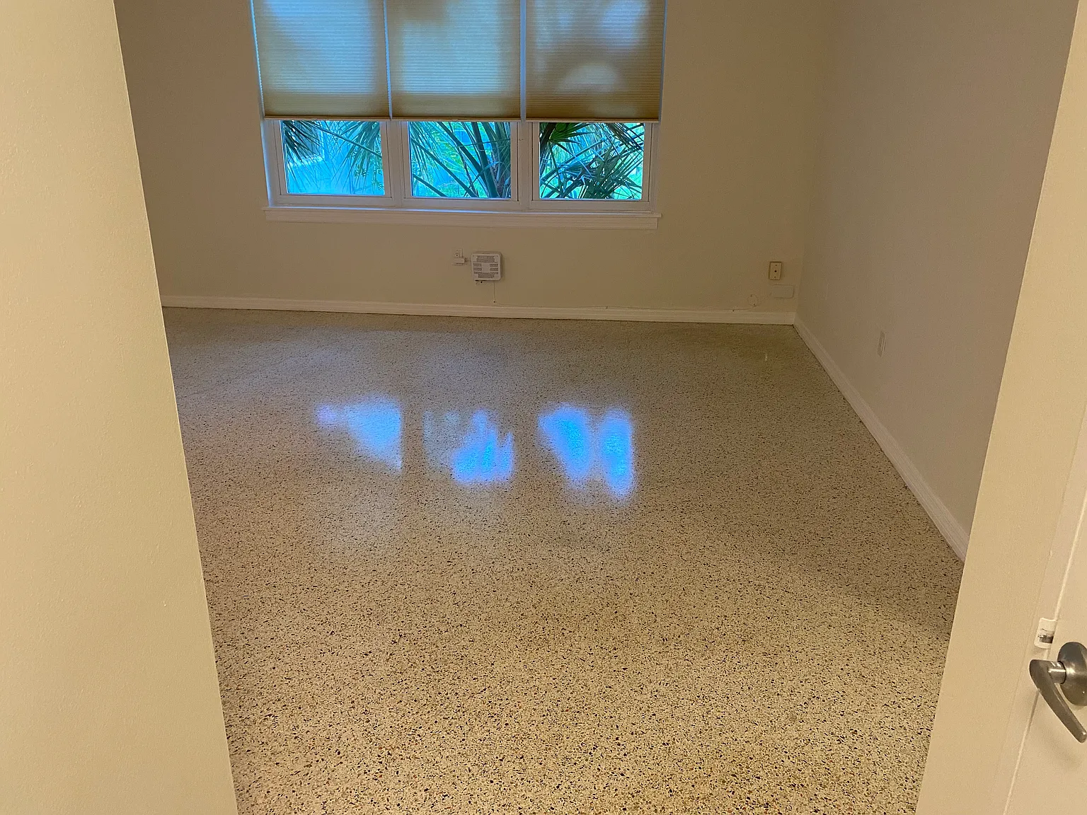 1 bed, 614 sqft, $1,350 — Photo 3