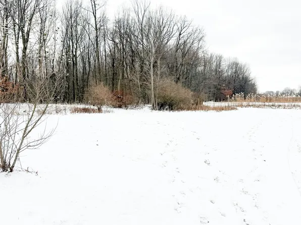 0 Murray Rd, Dansville, MI 48819