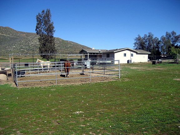 A Horse Lovers Dream