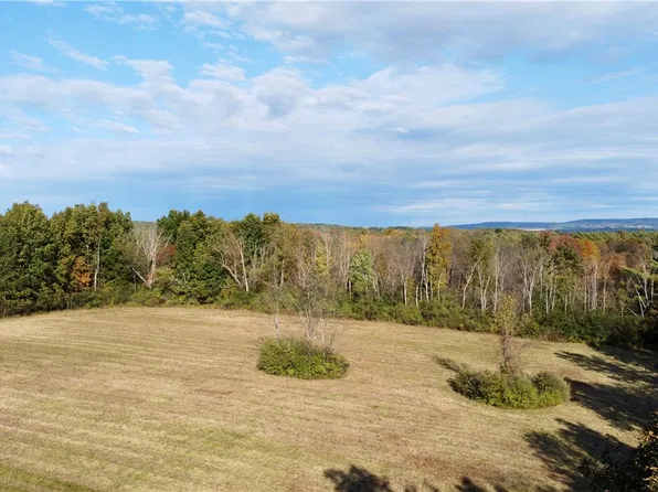 Wood Rd Lot 33, Freeville, NY 13068