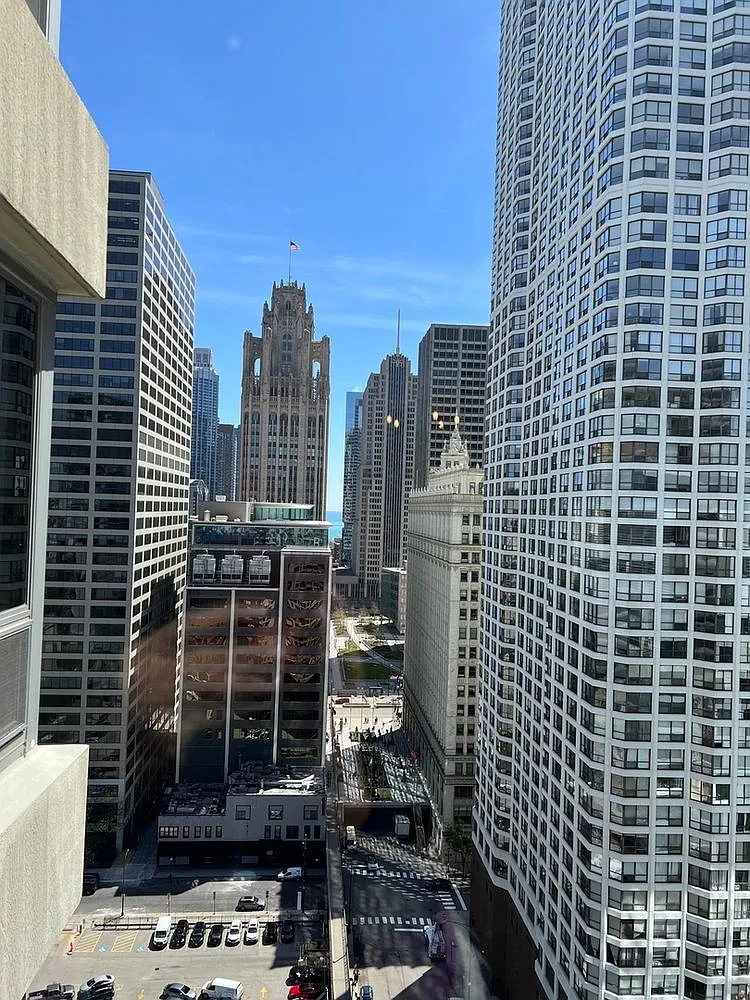 1 bed, 900 sqft, $2,495 — Photo 2