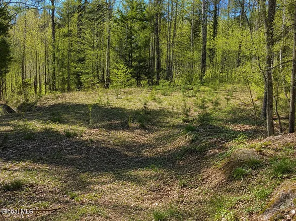 18 Highview Lane Lot 1, Wevertown, NY 12886