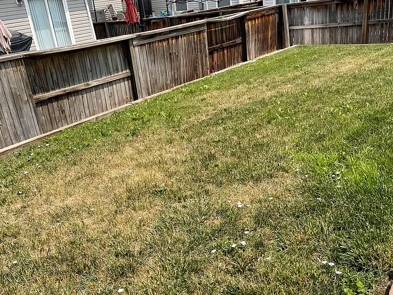 983 Canary Ct — Photo 15