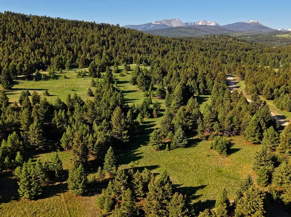 Nhn Phase Lot 8-3A, Deer Lodge, MT 59722