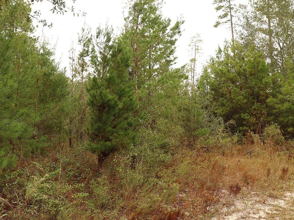 2nd image of SE Olustee Dr