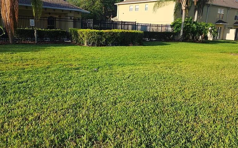 4514 Limerick Dr — Photo 31
