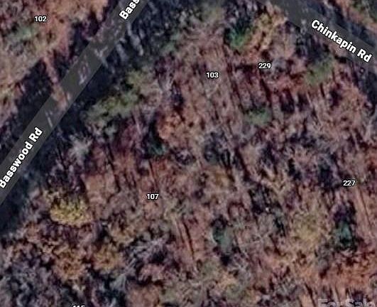 2nd image of 107 Basswood Rd